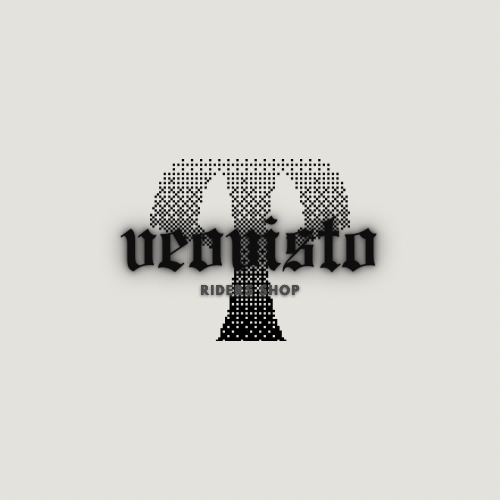 VeoVisto Studios